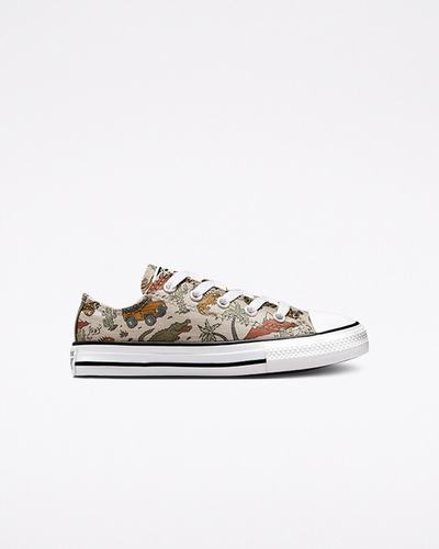 Converse Chuck Taylor All Star Desert Explorer Superge Dekleta Bež | Slovenija-48297