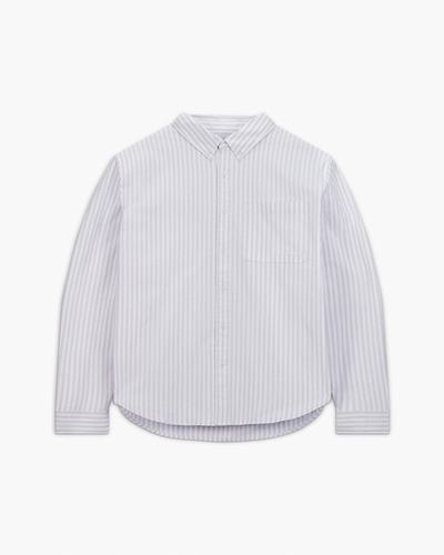 Converse Črtasto Oxford Button-Up Srajce Moški Vijolične | Slovenija-57328